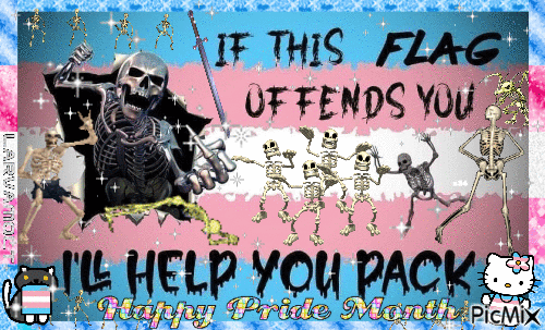 if this flag offends you ill help you pack