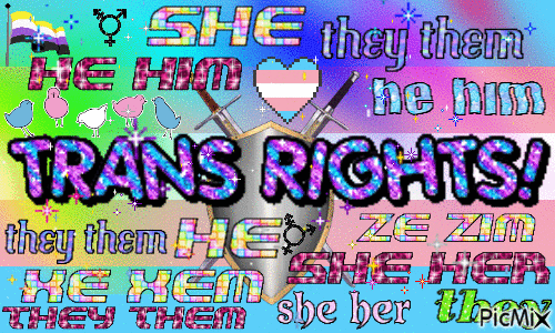 trans rights with a bunch of pronouns all around it