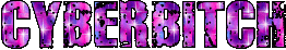 cyberbitch