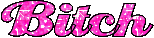 bitch